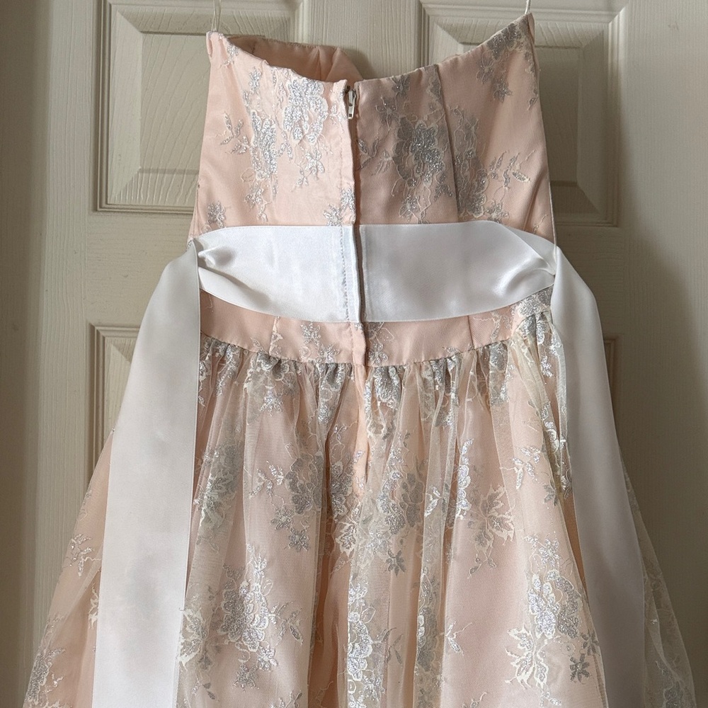 Jessica McClintock Blush Pink and Silver Embroidered Tulle Mini Dress - Picture 4 of 5